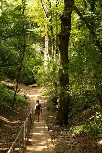 rot cliff path stairs
