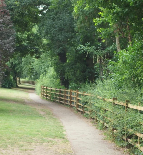 Projects rot cliff path